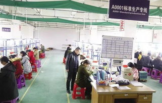 返鄉(xiāng)建起 脫貧工廠 把電子產(chǎn)品賣(mài)到國(guó)外